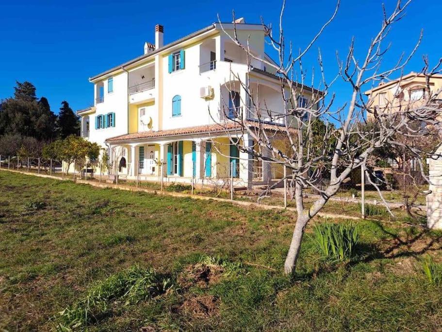 Apartment Laurus Premantura Zewnętrze zdjęcie